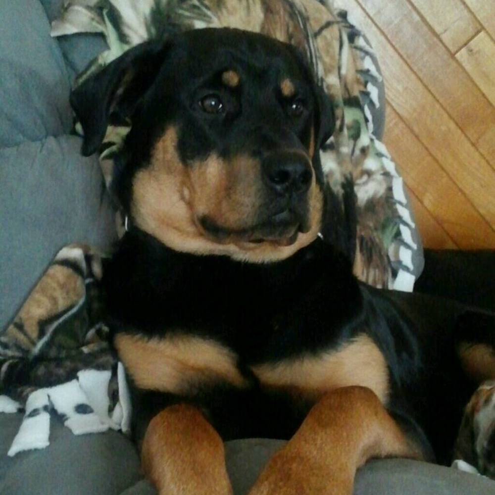 Meet your Posher, Lindsay